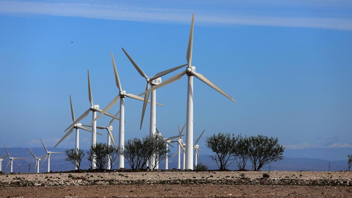 Molinos de viento en la Muela.