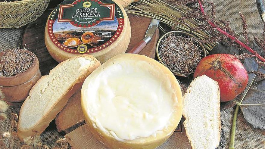 Queso de la Serena, el sabor que no puede faltar en la mesa