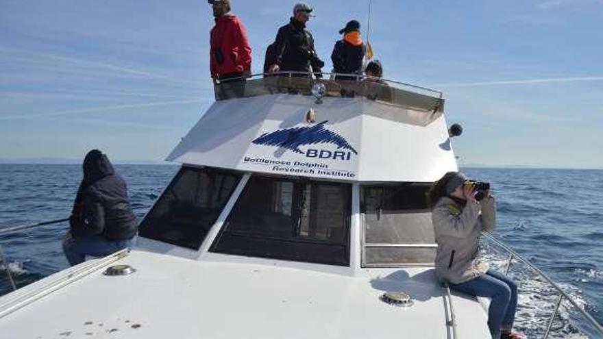 Seguimiento de mamíferos marinos a bordo del barco del BDRI.