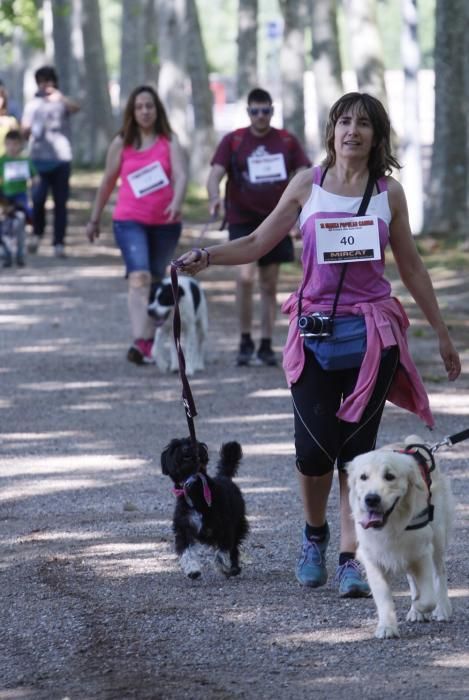 I Marxa Solidària Canina de Diari de Girona