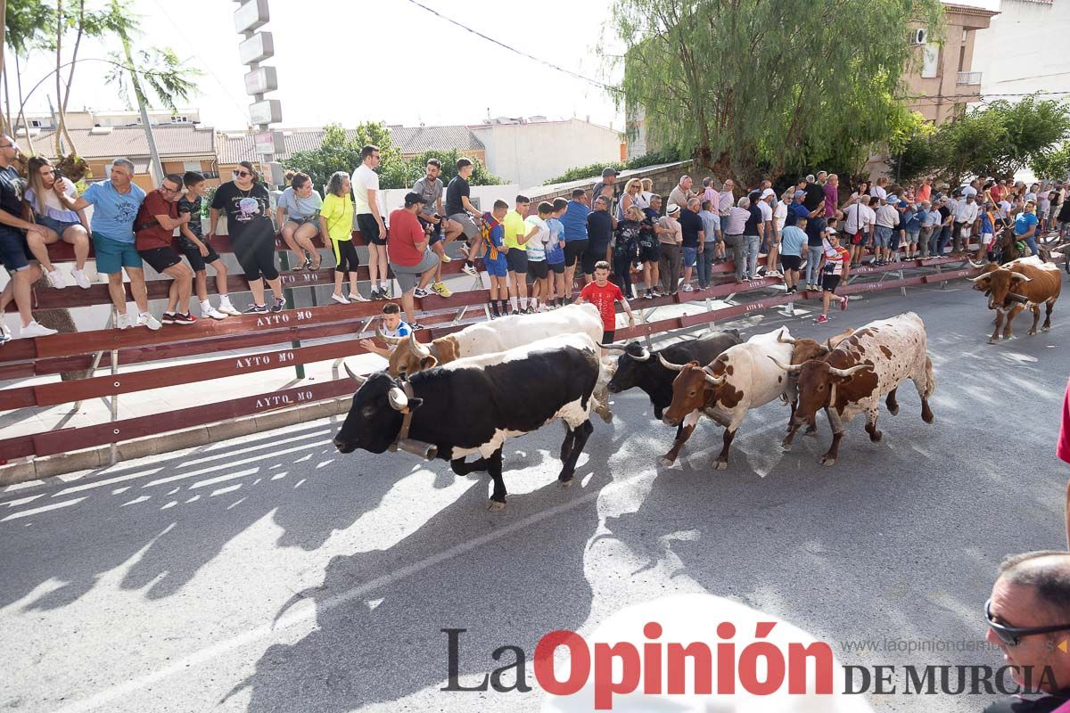 Séptimo encierro de las Fiestas de Moratalla