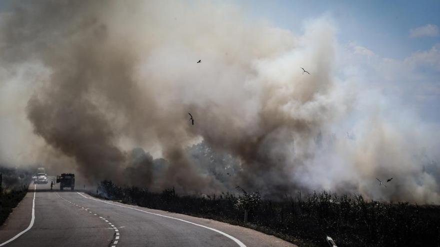 Cortes de tráfico en la carretera de Olivenza por un fuego de pastos