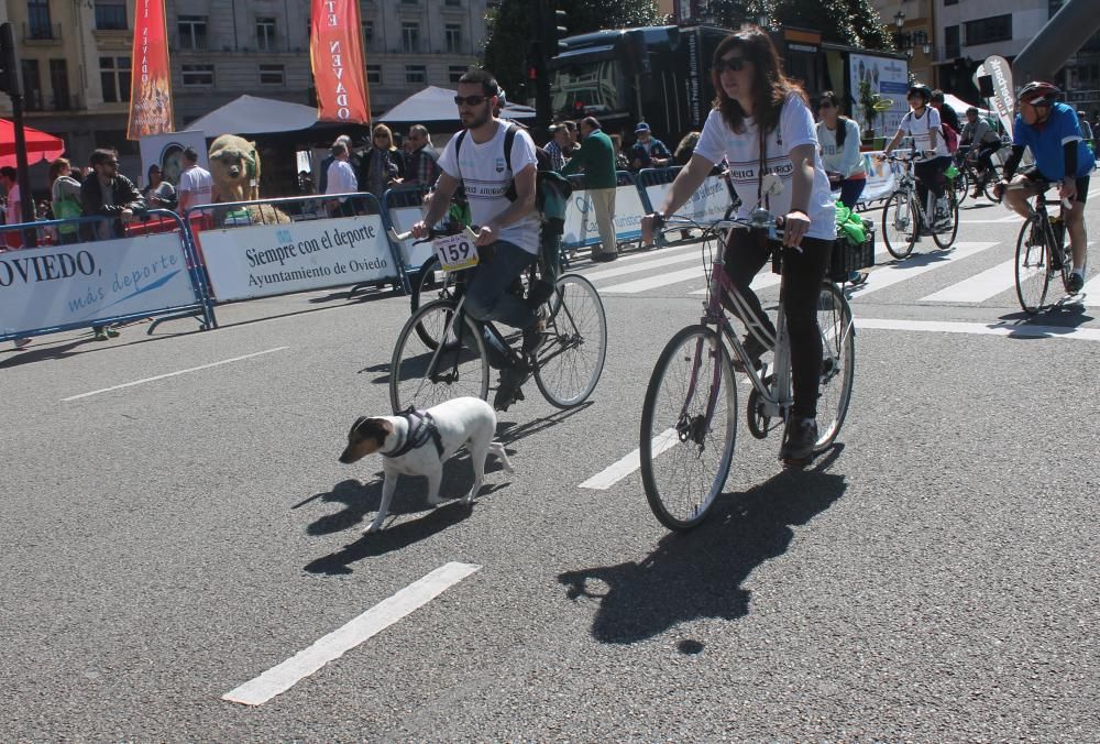 Ciclo Carreras Solidarias en Oviedo