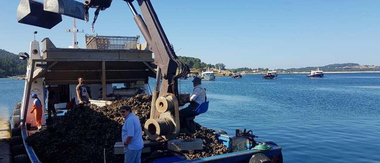 La ausencia de biotoxinas marinas favorece las descargas. En la foto, Porto Meloxo (O Grove). // FdV