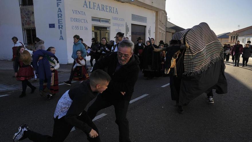 Pereruela rescata del olvido a su Vaca Antrueja por segunda vez