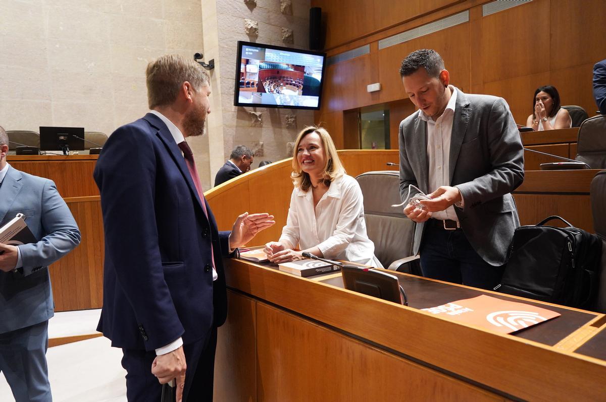La portavoz del PSOE, Pilar Alegría, esta mañana en el pleno.