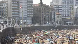 ¡Sorpresa en la playa de San Lorenzo, en Gijón! Una familia "muy peculiar" paseando como unos bañistas más en la arena