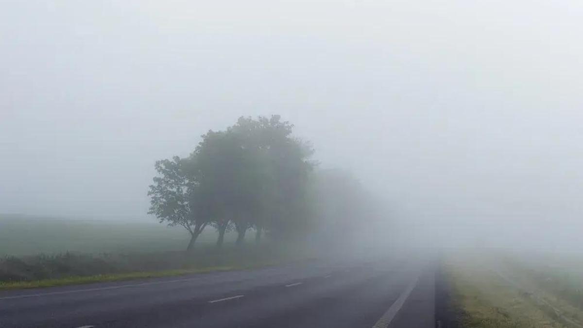 La niebla cubre una carretera que atraviesa una dehesa.