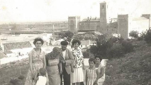 El "tomicus" o la reconquista vegetal de la montaña del Puig