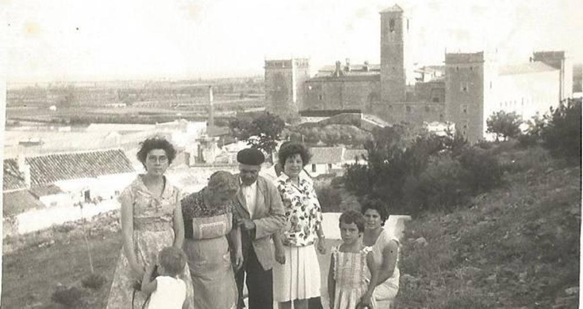 El "tomicus" o la reconquista vegetal de la montaña del Puig