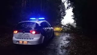 El temporal salpica de pequeñas incidencias la comarca de Pontevedra