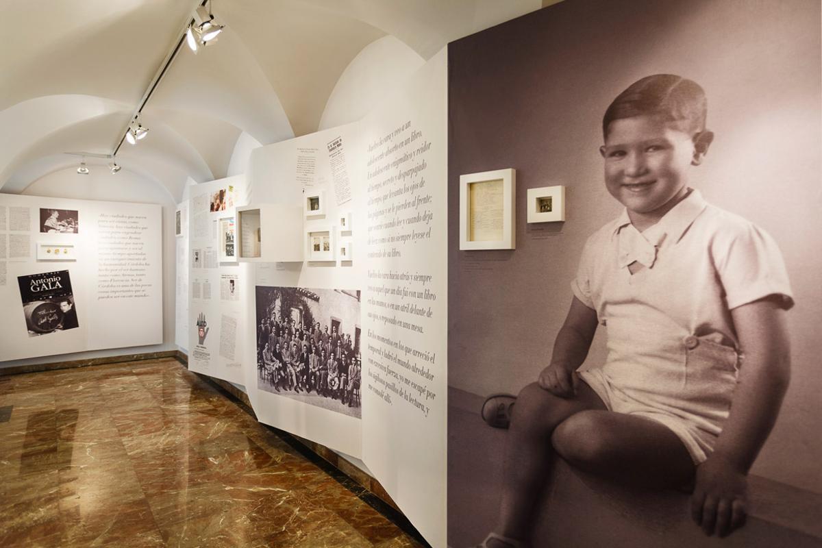 Fundación Antonio Gala