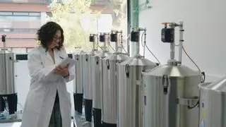 El CSIC modela con IA en Galicia la fermentación del vino