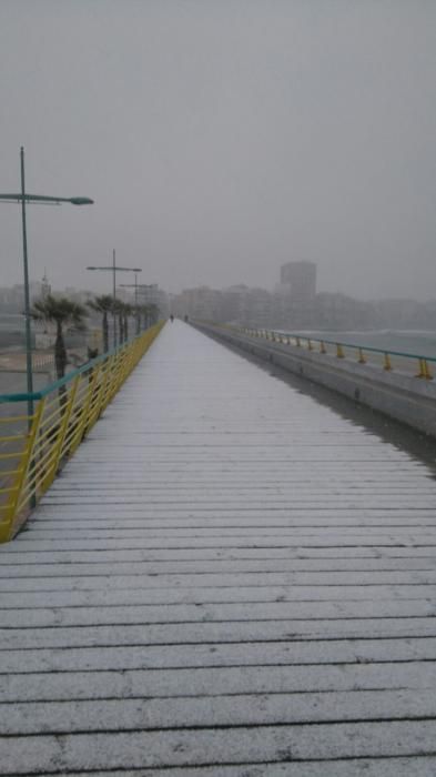 Una fina capa de nieve ha cubierto las playas, los techos de los vehículos, zonas verdes y tejados de Torrevieja, Orihuela Costa y Pilar de la Horadada