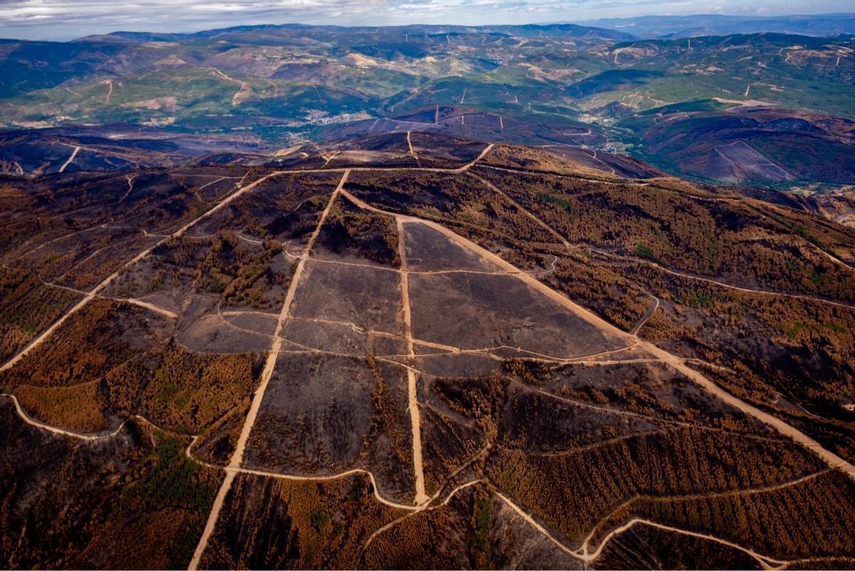 Oímbra fue el punto desde el que creció uno de los incendios más grandes de este año