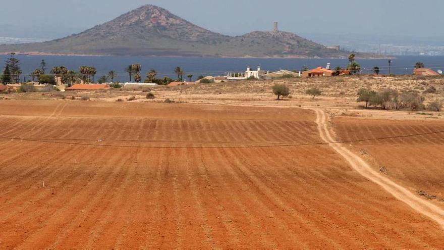 Cultivos intensivos en la zona sur del Mar Menor