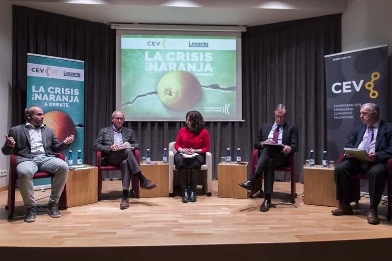 Debate: La crisis de la naranja