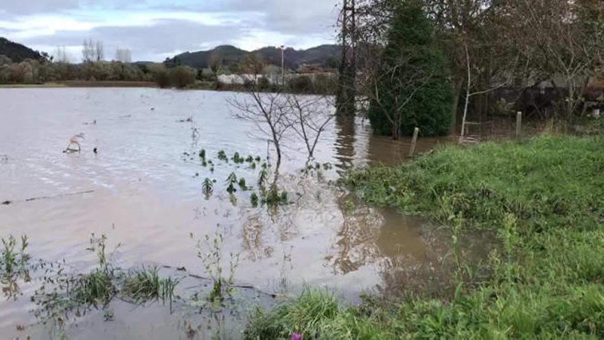 Preocupación en Pravia por la crecida del Nalón y el Narcea