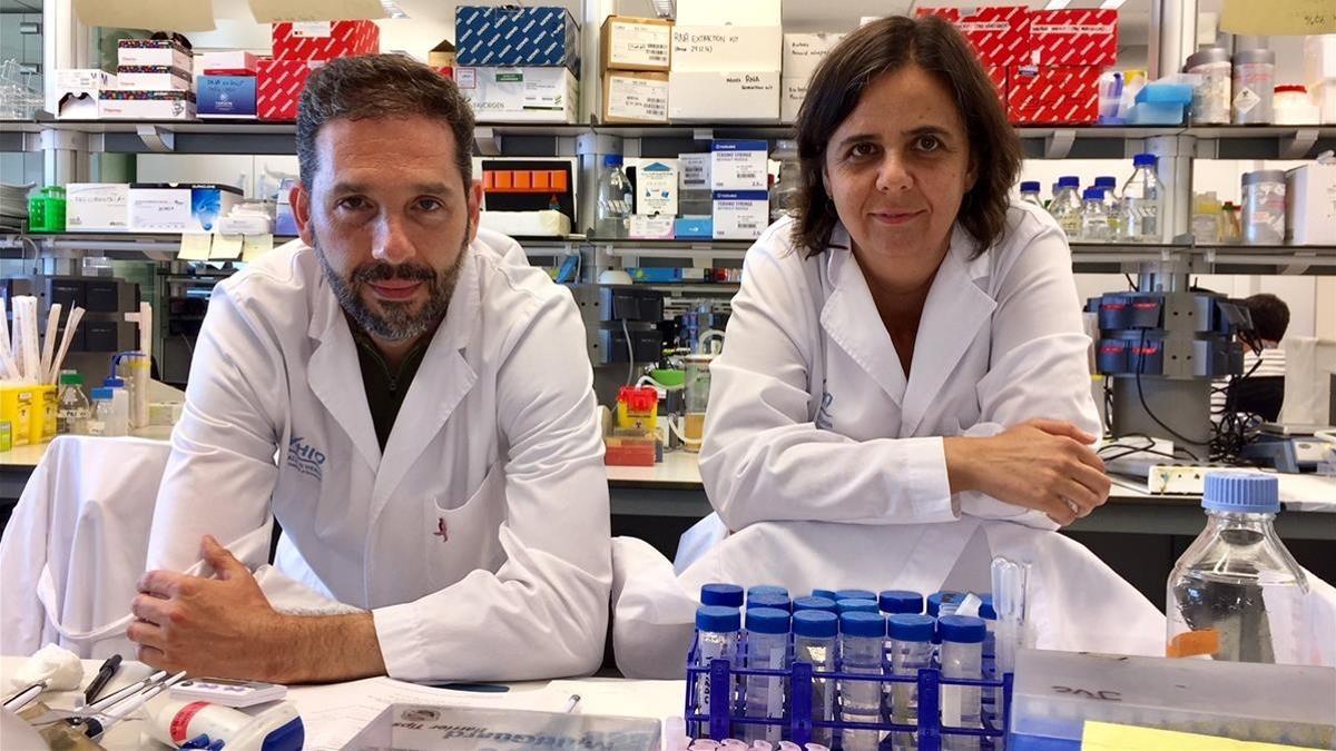 zentauroepp44804185 pla mitj  de josep villanueva i olga m ndez al laboratori de180828170454