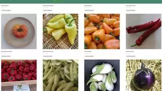 Crean una web para comprar frutas y verduras directamente a agricultores locales de la Región
