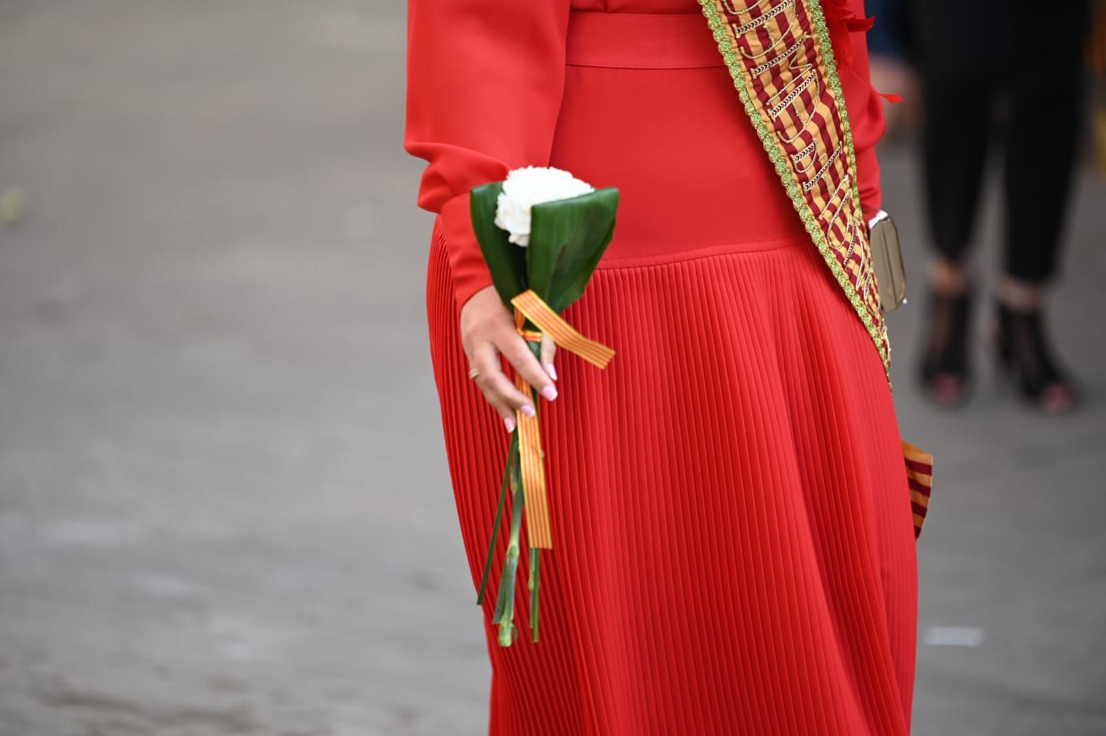 Las imágenes de la ofrenda al patrón de Vila-real, Sant Pasqual, del 2022