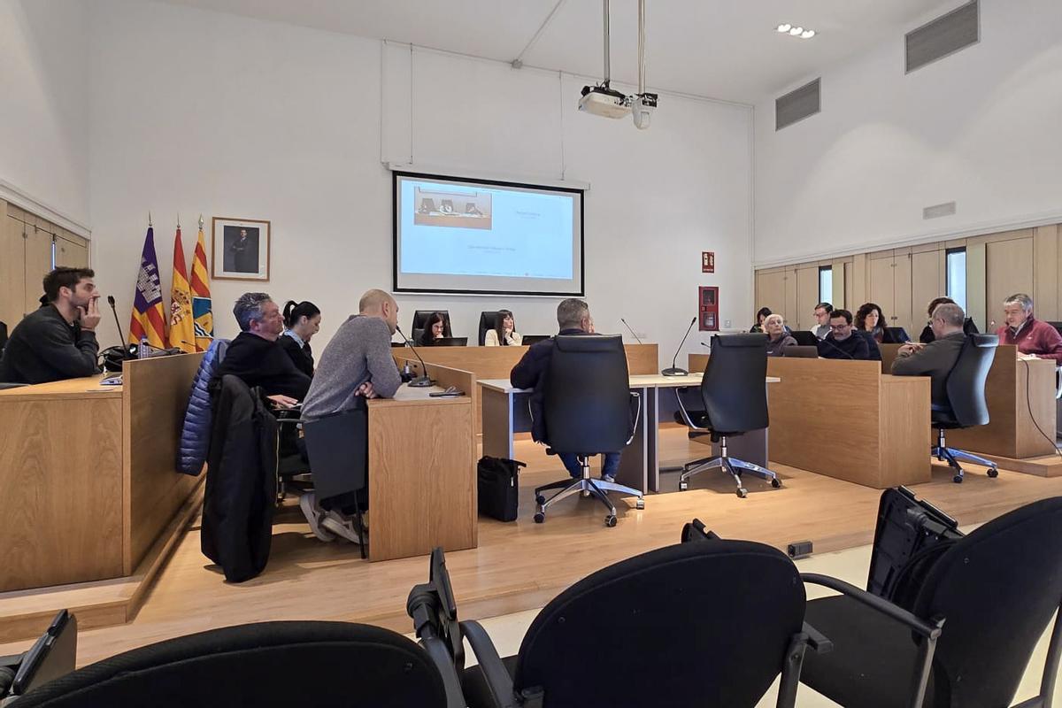 Segunda reunión de la sectorial de movilidad celebrada este jueves en Formentera