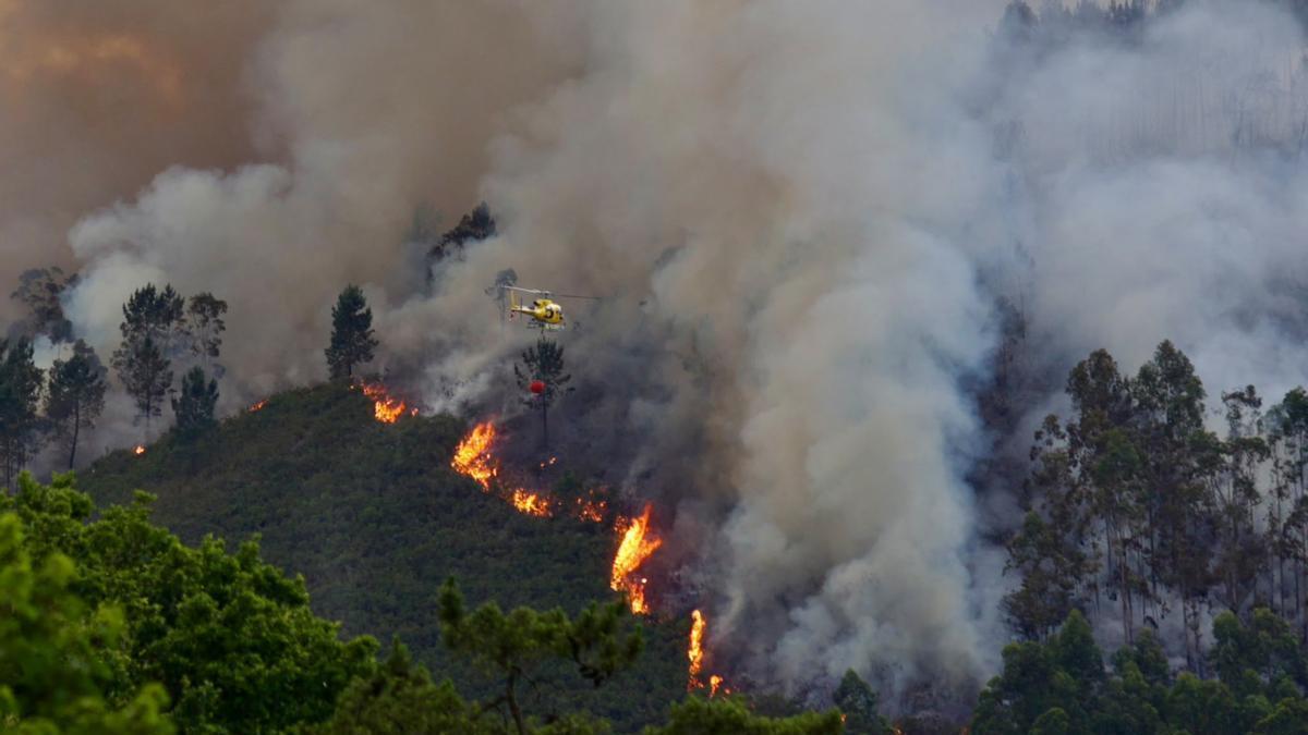 VÍDEO: Preocupación en Grado por la evolución del incendio forestal que afecta a Peñaflor y Vega de Anzo
