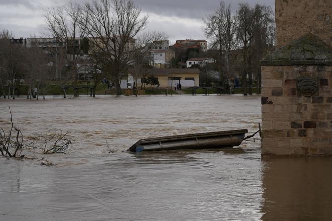 GALERÍA | Los Pelambres y los paseos fluviales desaparecen bajo el agua del Duero