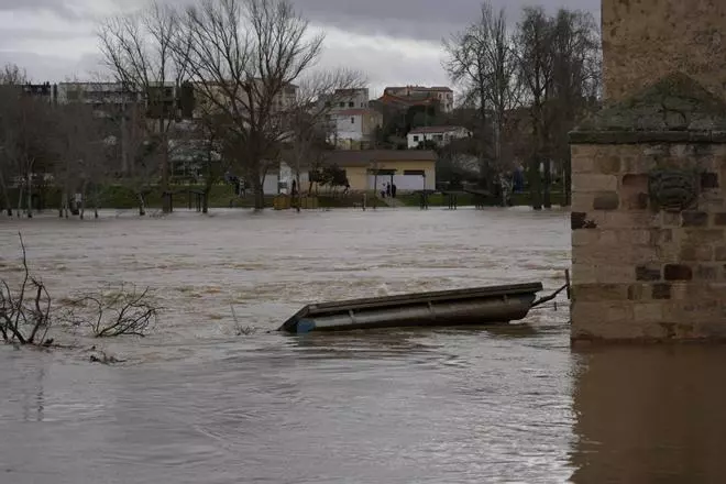 GALERÍA | Los Pelambres y los paseos fluviales desaparecen bajo el agua del Duero