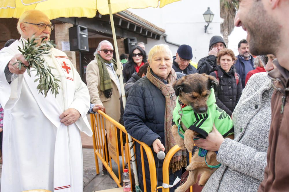 Fiesta de Sant Antoni en la ermita de vera