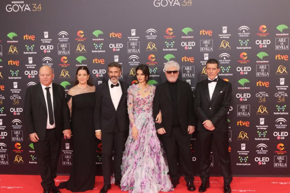 Alfombra roja de los Premios Goya 2020.