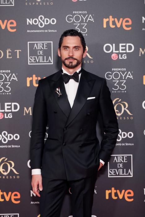 Premios Goya 2019