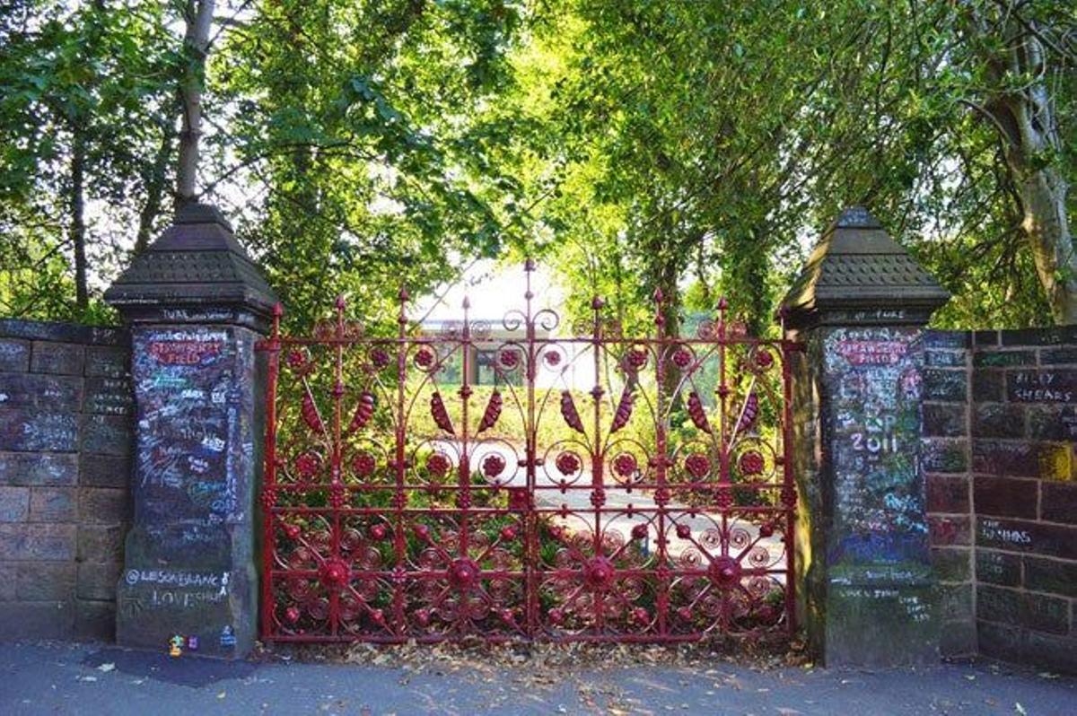 Strawberry fields