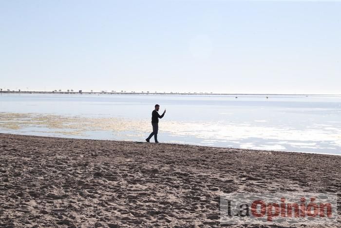 Un 'SOS' gigante para el Mar Menor formado por escolares en Villananitos