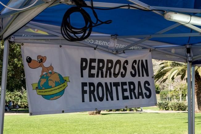 Feria de Mascotas de Maspalomas 2016