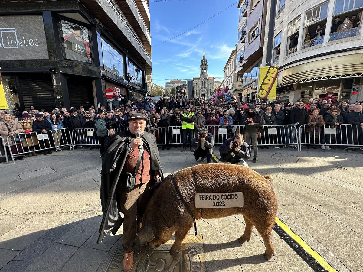 O porco Queitano pechou o desfile canda o seu dono.