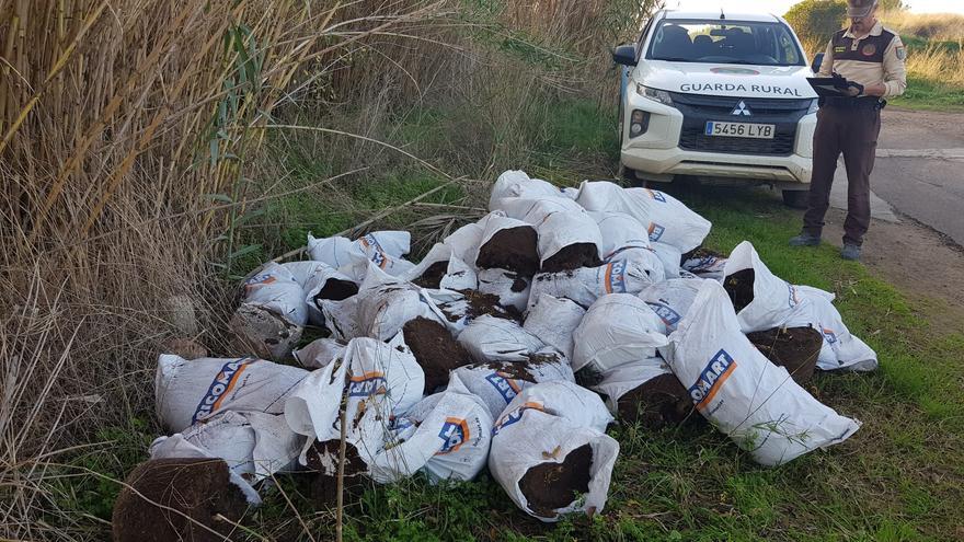 Abandonan los restos de más de 100 plantas de marihuana en el paraje del Millars