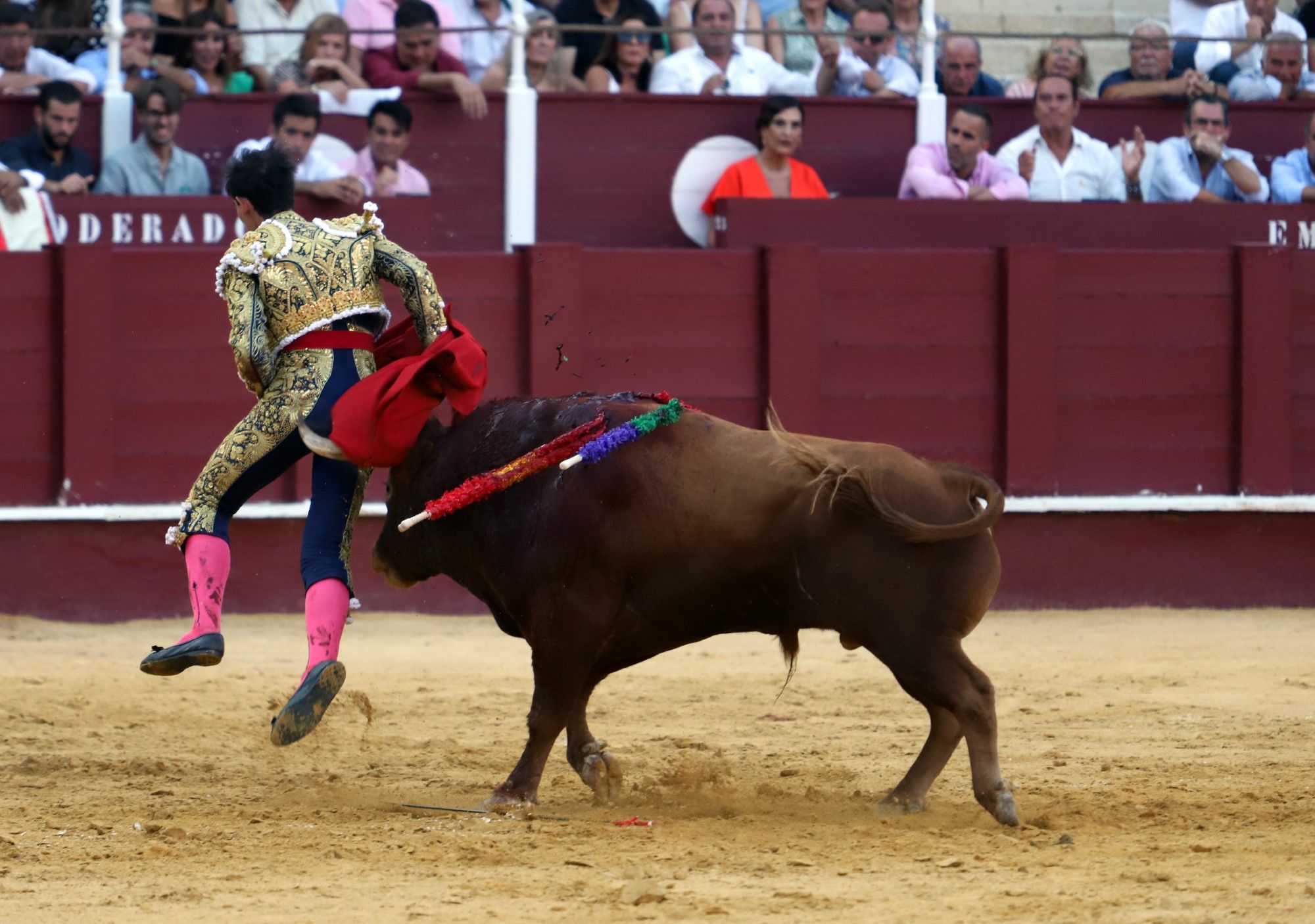 Las imágenes de la cuarta corrida de abono en La Malagueta y de la cogida de Jiménez Fortes