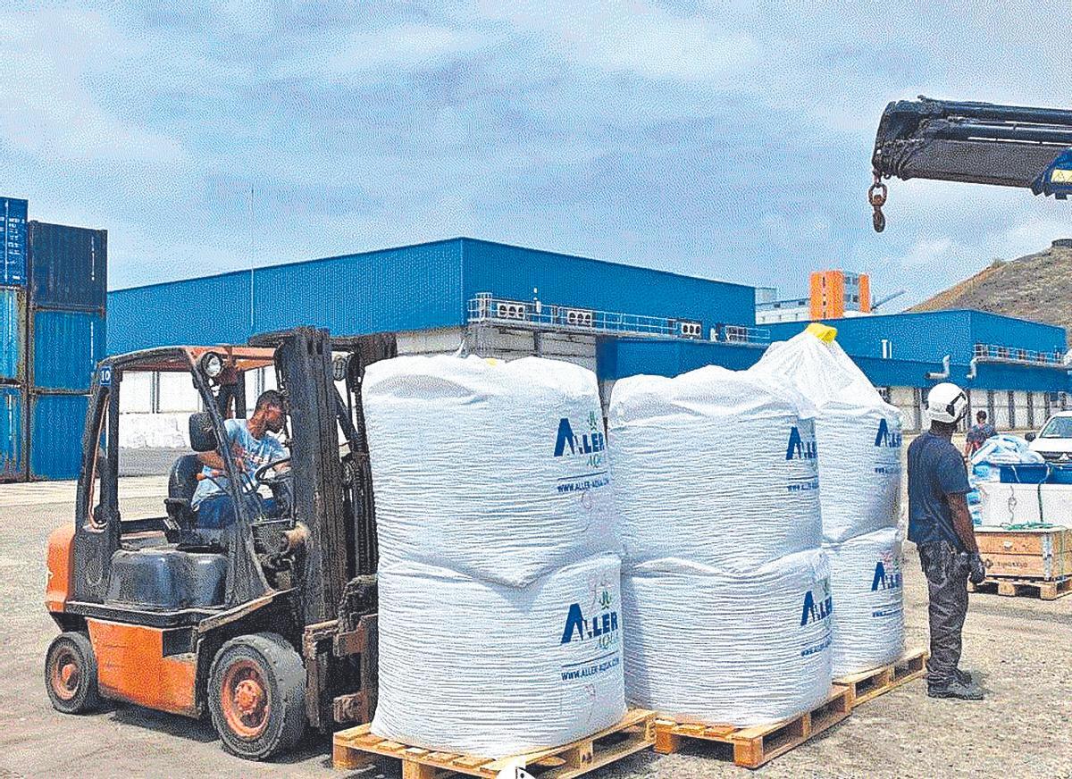 Actividad de logística frigorífica en la antigua Atunlo Cabo Verde, en Mindelo.