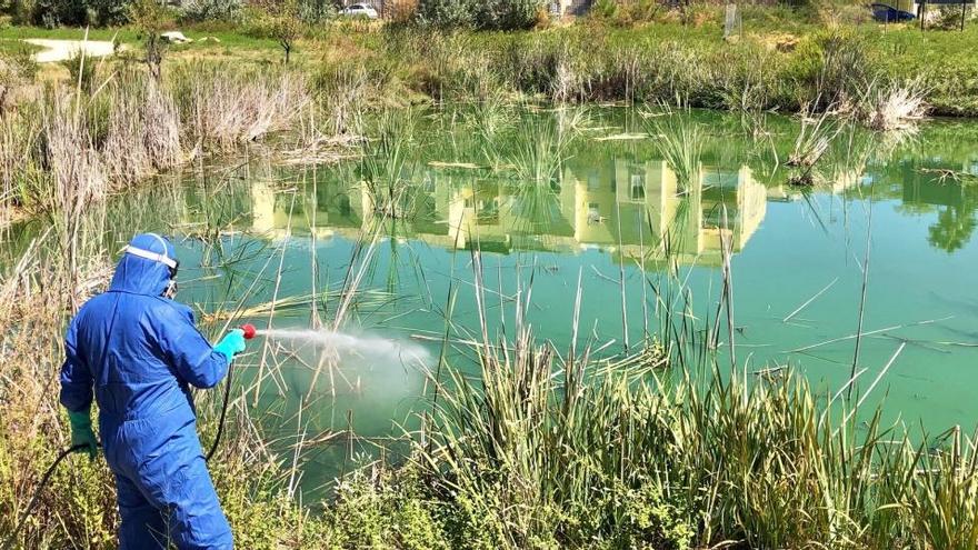 Labores de fumigación en parque Olivar del Zaudín para prevenir el virus del Nilo.