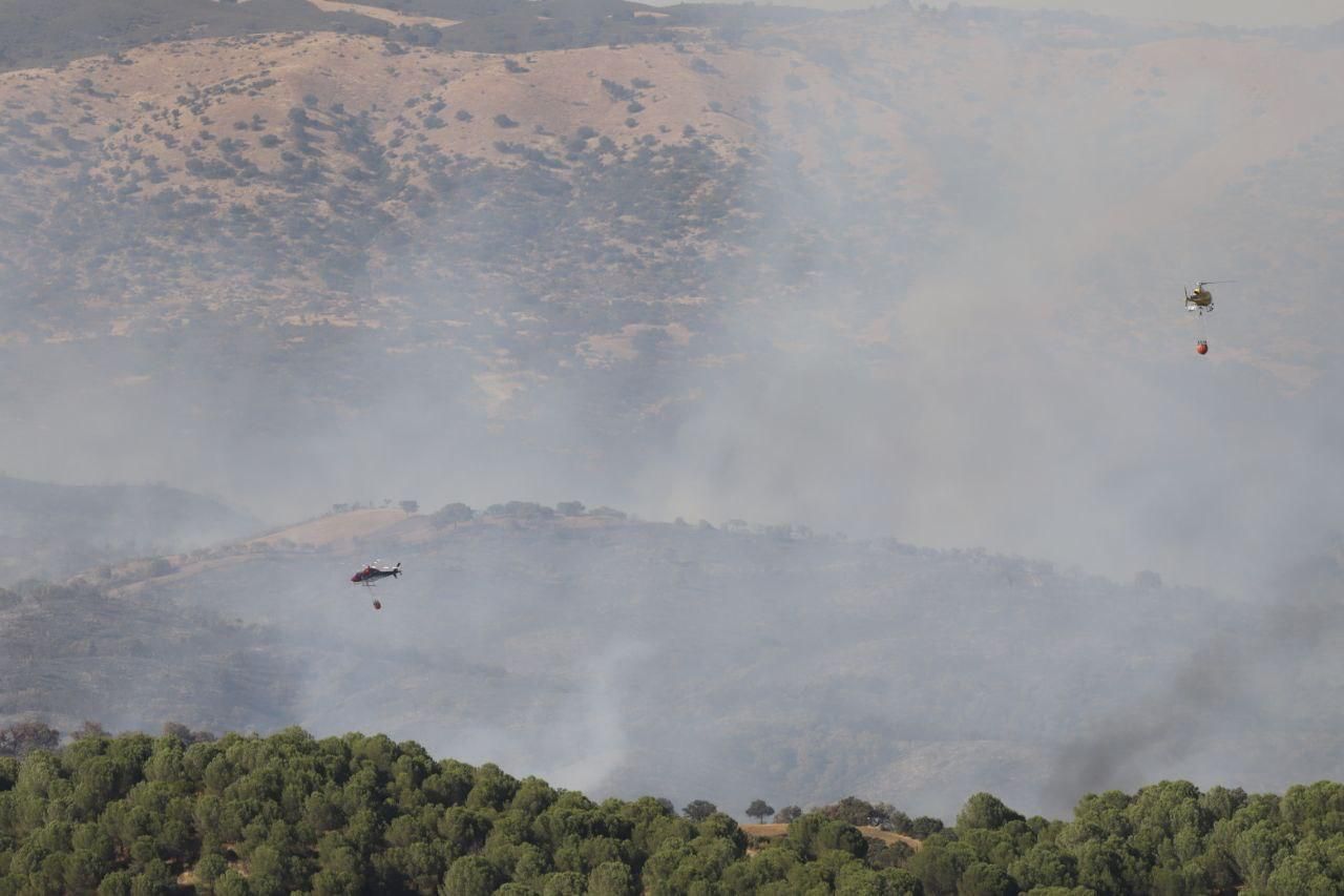 Incendio forestal en Cerro Muriano