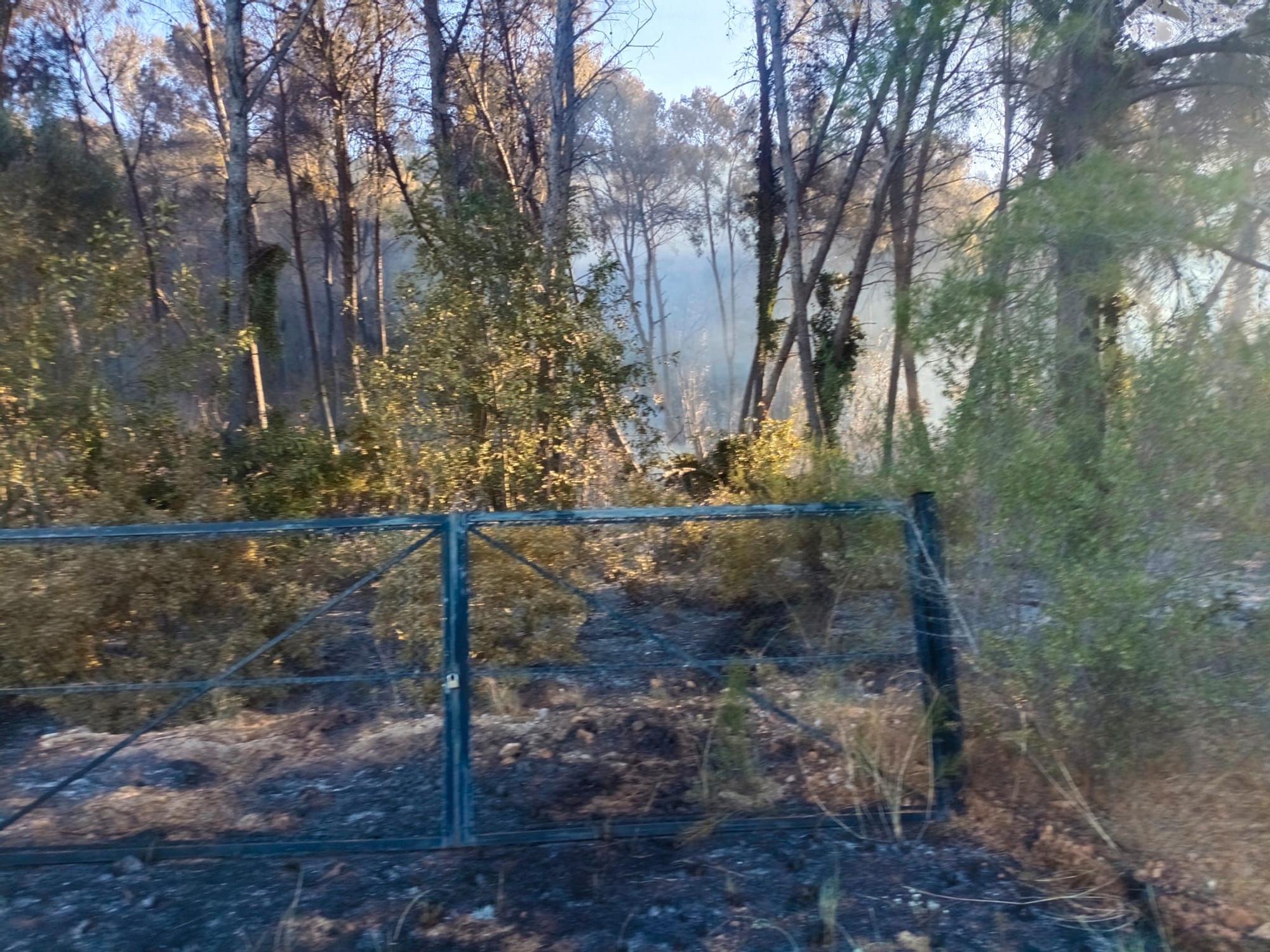 El incendio que amenaza el valle de la Murta, en imágenes