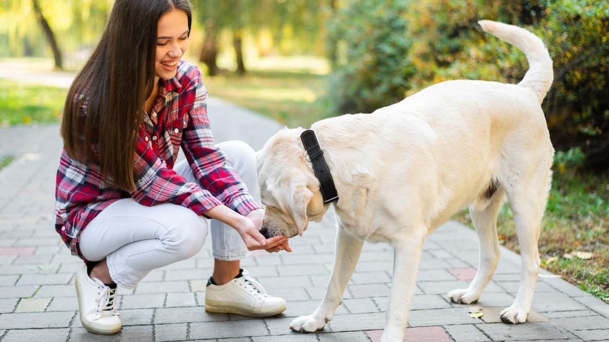 ¡Encontrado!: este spray de 16 euros ha sido mi salvación (y la de mi perro) contra las garrapatas