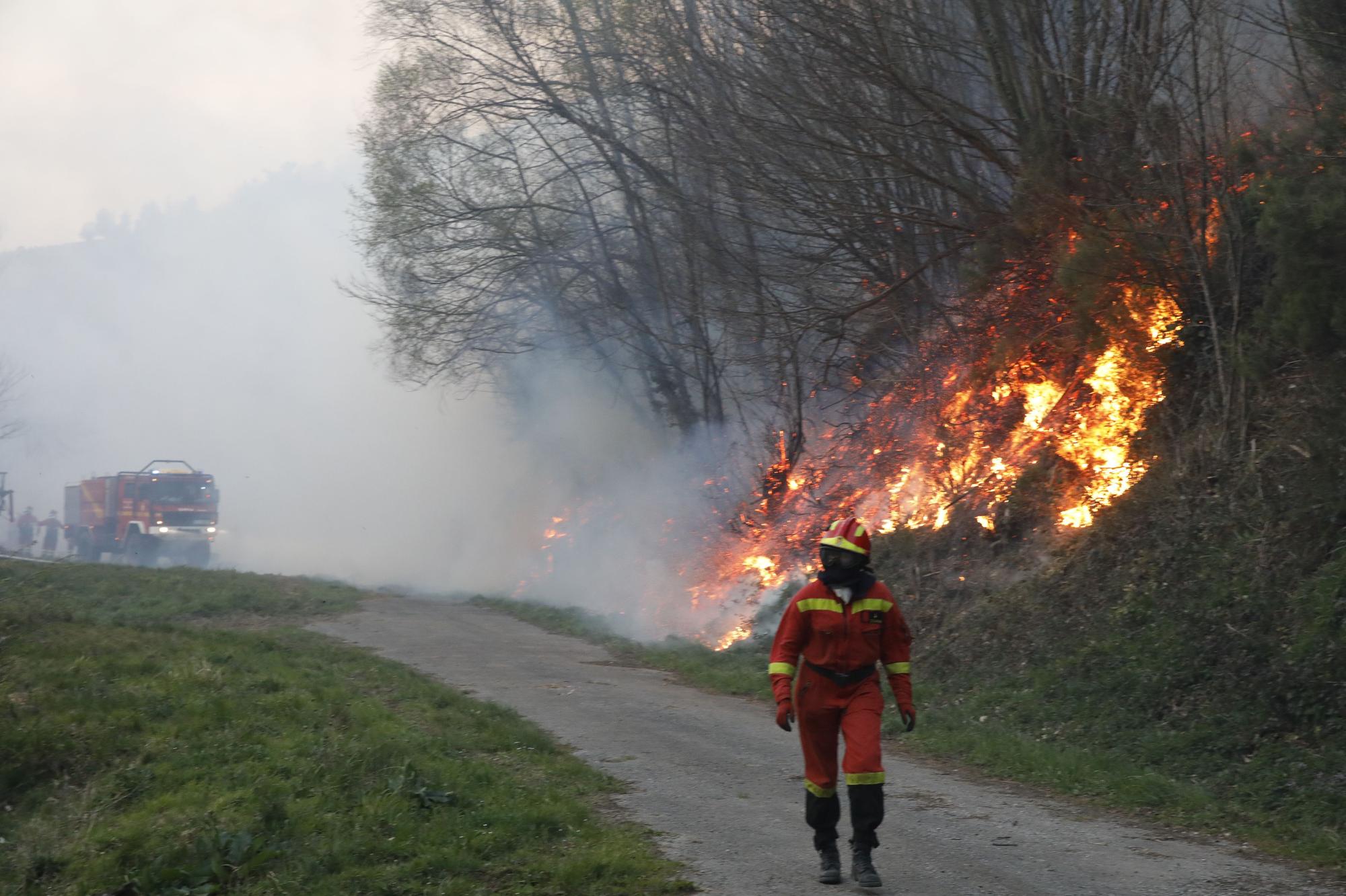 EN IMÁGENES: bomberos, vecinos y la UME luchan contra el preocupante incendio en Tineo