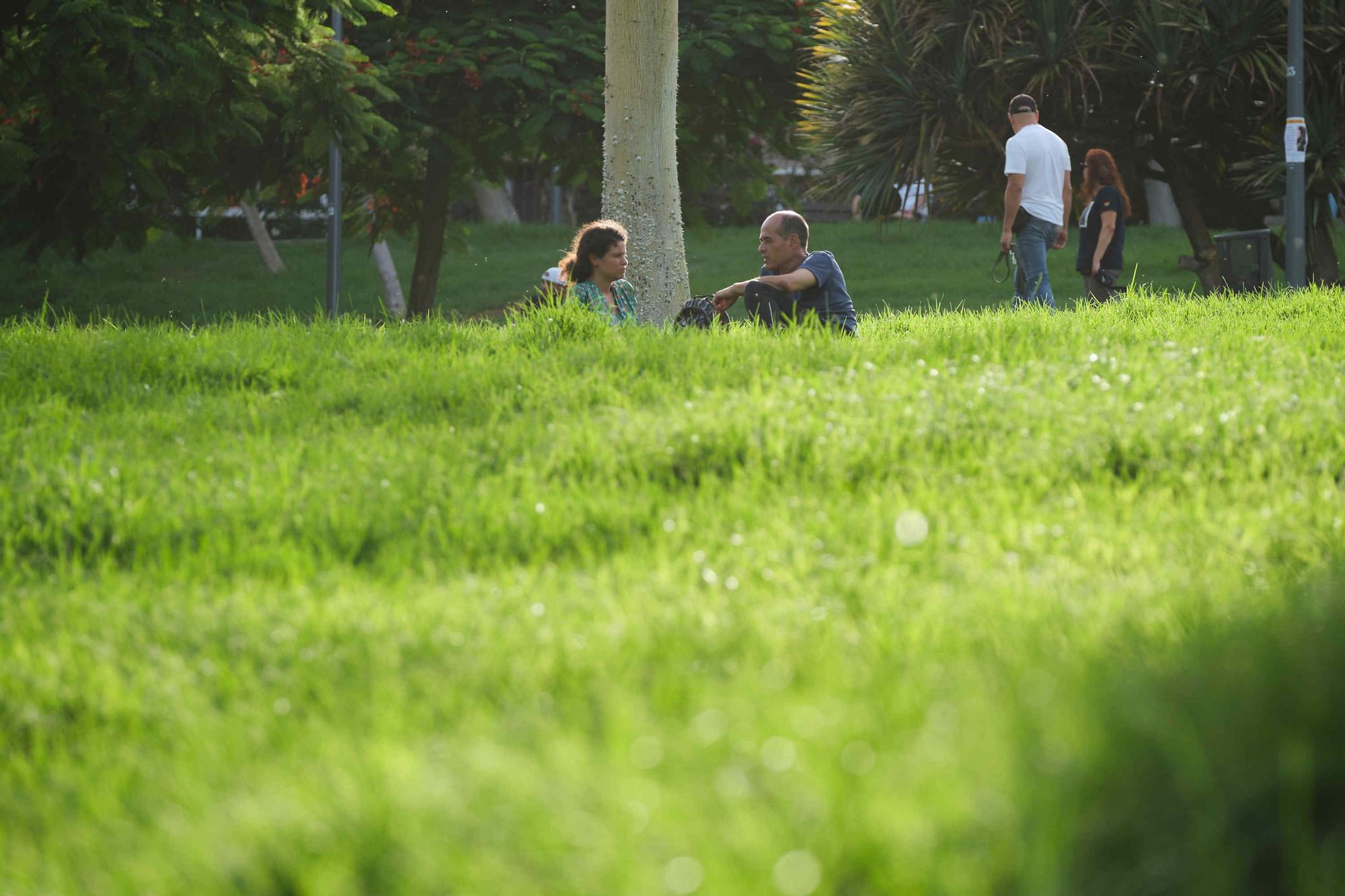 Parque de las Indias, Santa Cruz de Tenerife