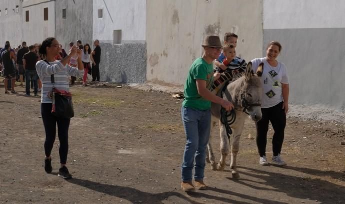 FIESTAS DE JINÁMAR