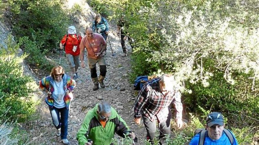 Participants a la caminada de l&#039;any passat