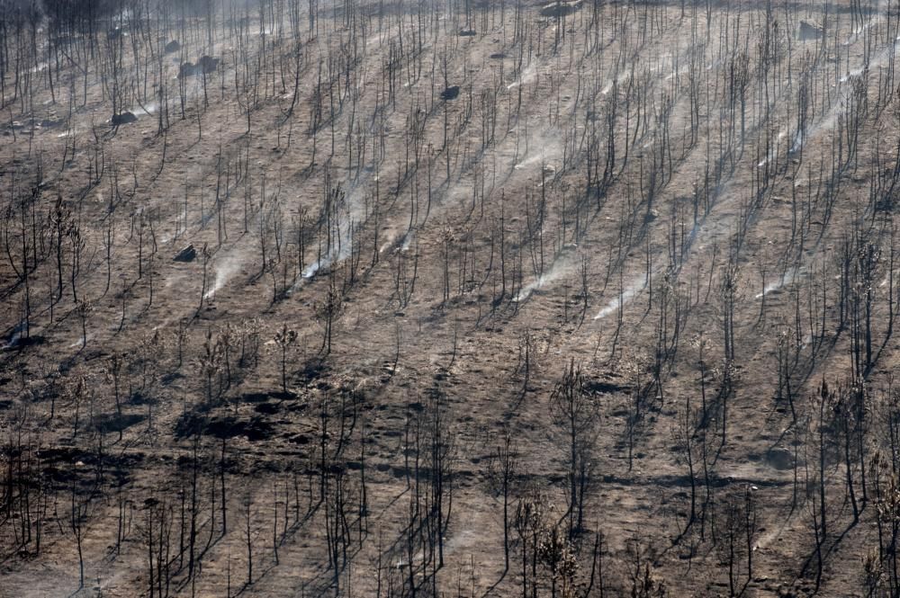 Incendio de Verín y Vilardevós