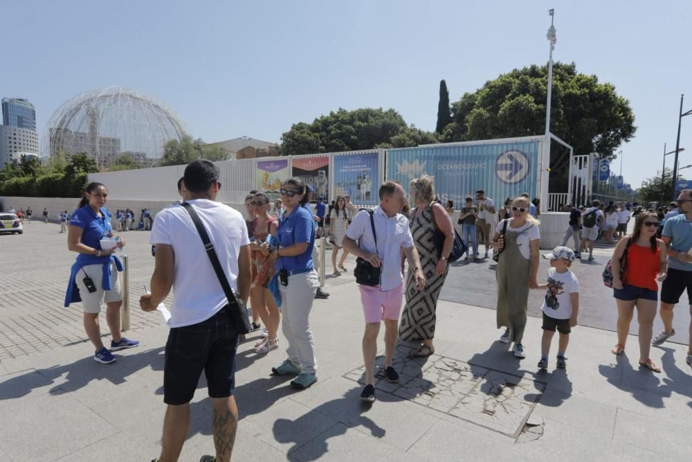 Incendio en l'Oceanogràfic de València