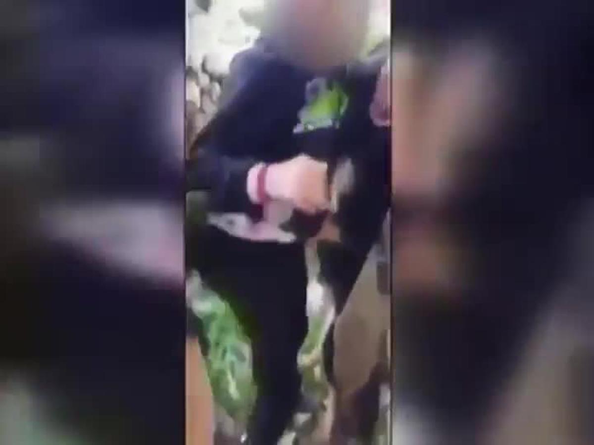 Vídeo de unos soldados que usan un perro para que muerda a un menor palestino detenido por tirar piedras.